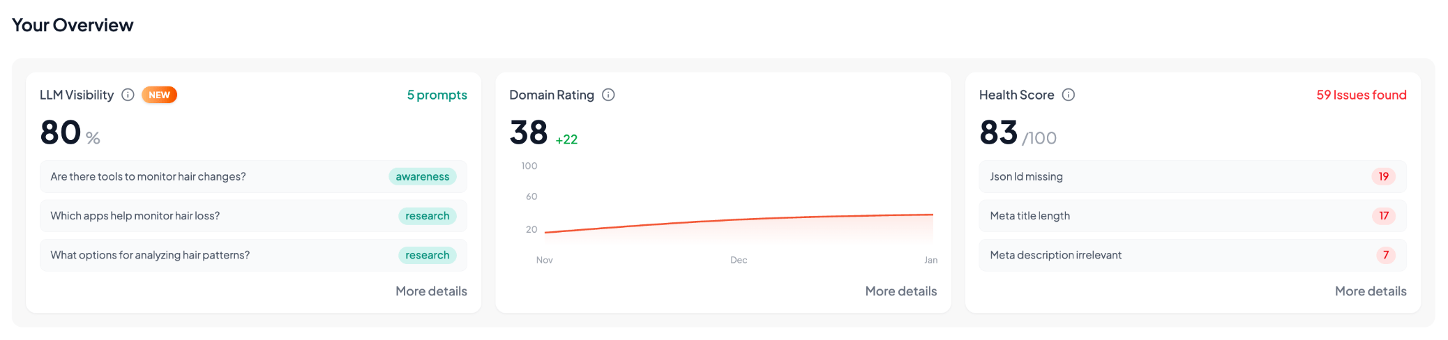 Overview cards displaying Domain Rating, LLM Visibility, and Health Score